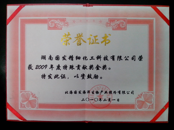 Gold medal of special contribution award 2009